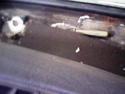 IMG0489A.jpg