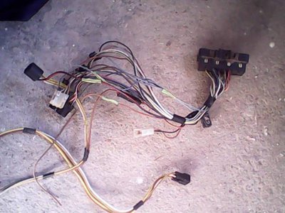IMG0511A.jpg