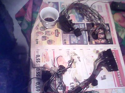 IMG0508A.jpg