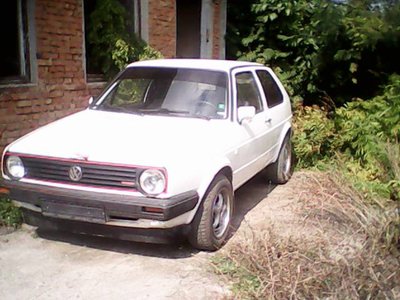 IMG0533A.jpg