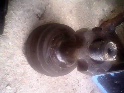 IMG0553A.jpg