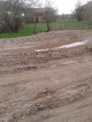 E79.jpg