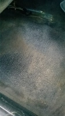 12278779_1079116905454678_5421539901835231637_n.jpg