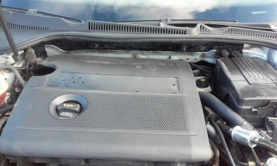 12348678_10208166911476364_1173161147_n.jpg