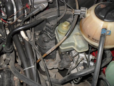 rsz_sdc14617.jpg