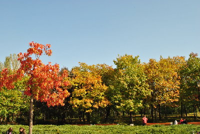 DSC_0250.JPG