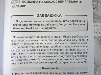 P1130410.jpg
