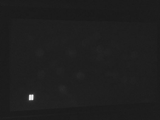 12795286_10204622049825749_4220841948353468443_n (1).jpg