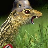 evilzhiv42me1.gif