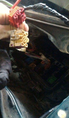 received_10206371854800900.jpeg
