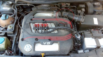 IMG_20160421_095356r.jpeg