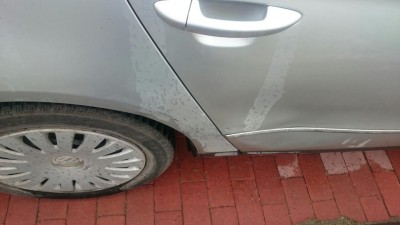 rps20160426_121450.jpg