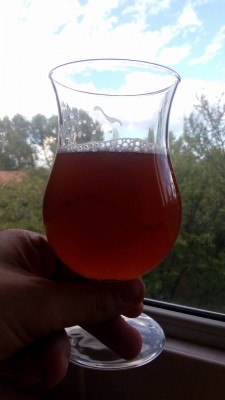 Belgian Ale.jpg