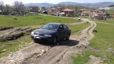 IMAG0133.jpg