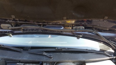 20160317_140122.jpg