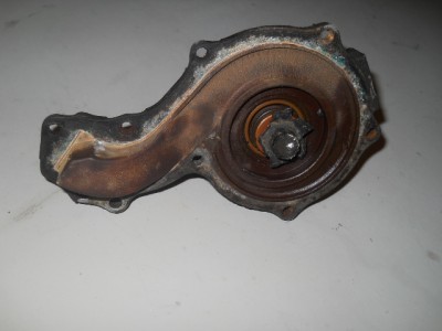 DSCN5854.jpg
