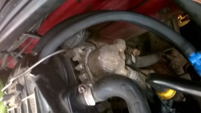 WP_20161109_001.jpg