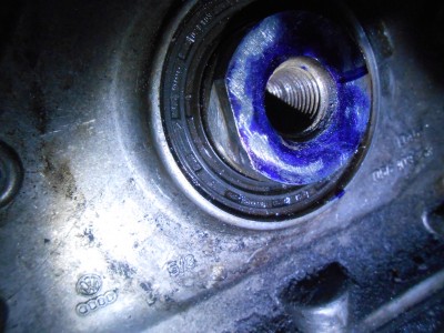 DSCN3814.JPG