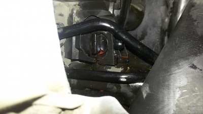 20161217_155459.jpg