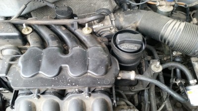 20170126_085510.jpg