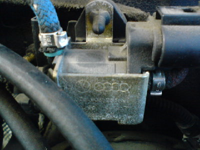 DSC01795.JPG