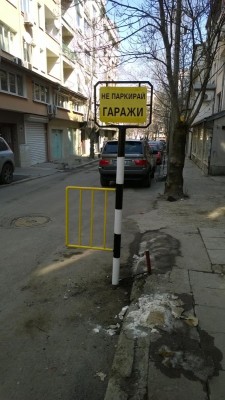 цвете на звъника.jpg