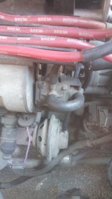 IMG_20170626_160713.jpg