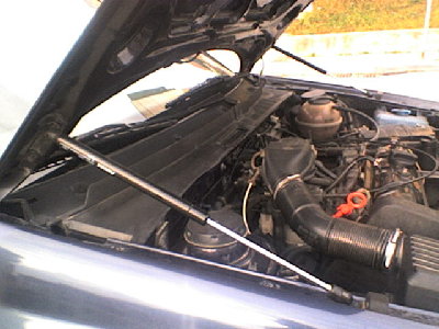 SP_A2113.jpg