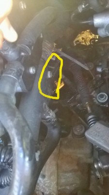 WP_20170803_09_07_05_Pro.jpg