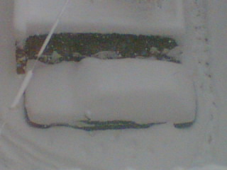 Image003.jpg