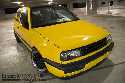 bee2.jpg