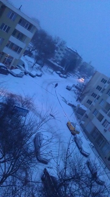 IMAG1180.jpg