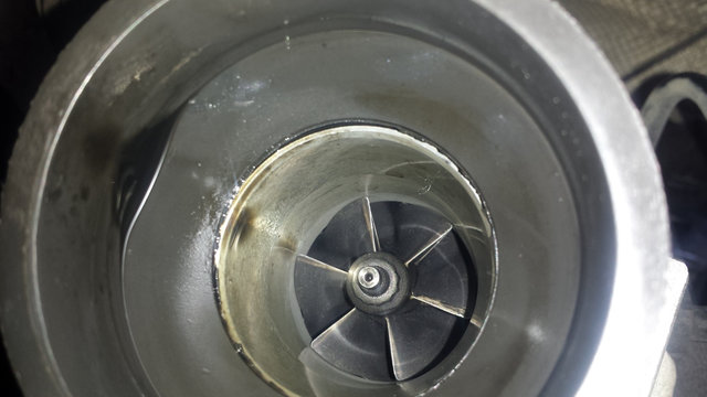 20180523_161453.jpg