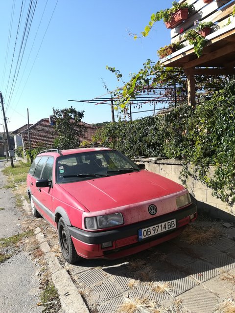 IMG_20180916_101035.jpg