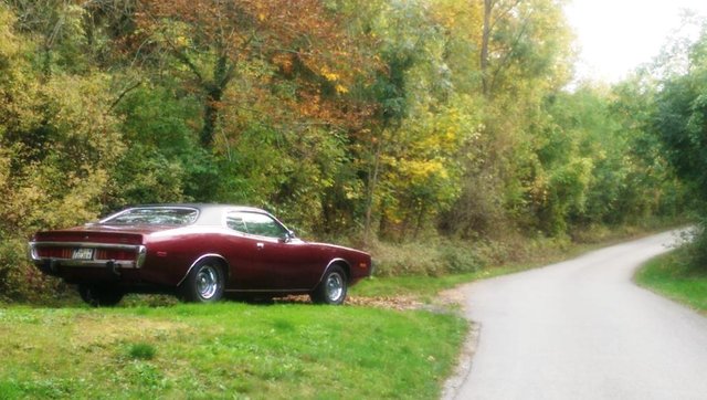 IMAG1323_1024x579.jpg