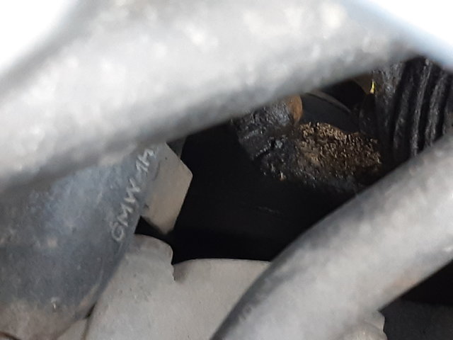 20190519_124901.jpg