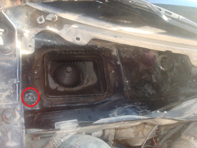 025894649.jpg
