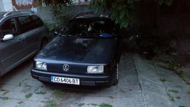 20190618_211138[1].jpg