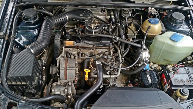 20190624_151517.jpg