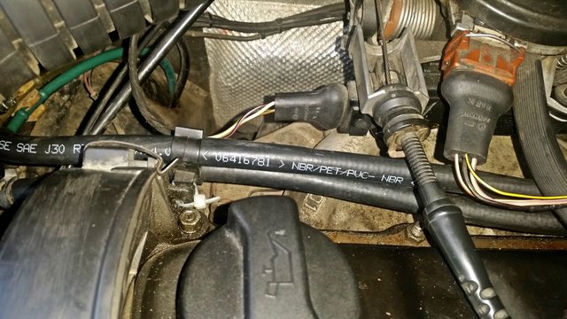 20190625_184829.jpg