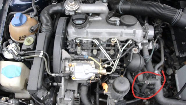 20190702_115659.jpg