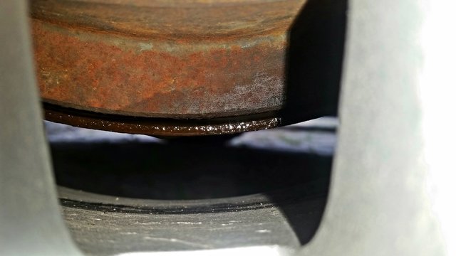 20190725_172926.jpg