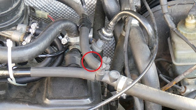 20190711_175341.jpg