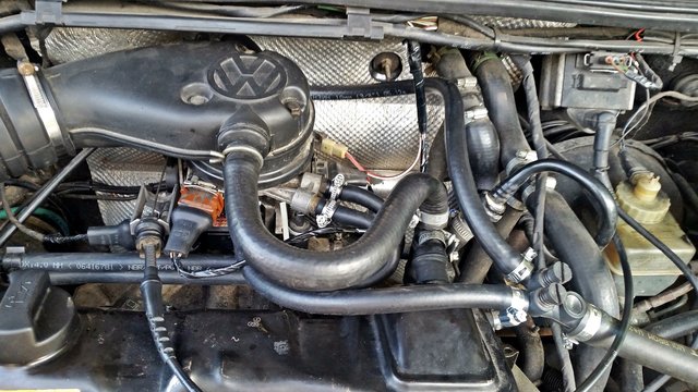 20190805_174020[1].jpg
