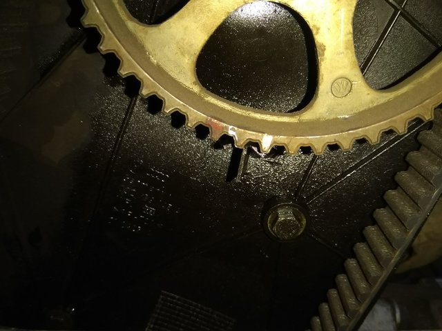 69473159_724884284632026_3862416140277907456_n.jpg