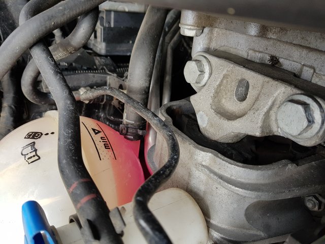 20190901_125103.jpg