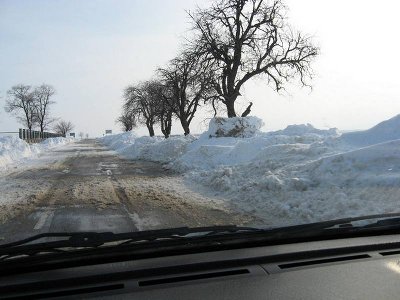 IMG_1617.jpg