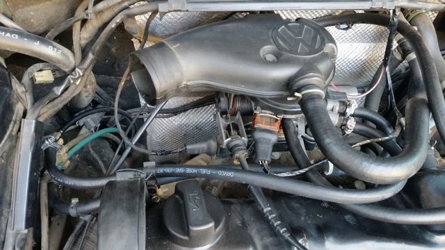 20190914_114429.jpg