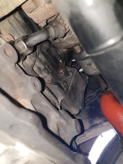 20180728_120557.jpg