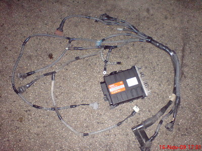 DSC00027.jpg